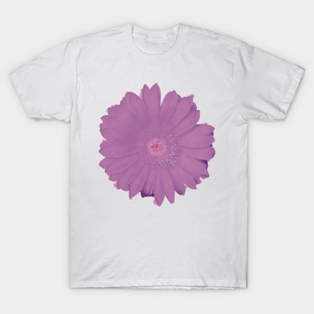 Purple Daisy Flower T-Shirt by Griffelkinn